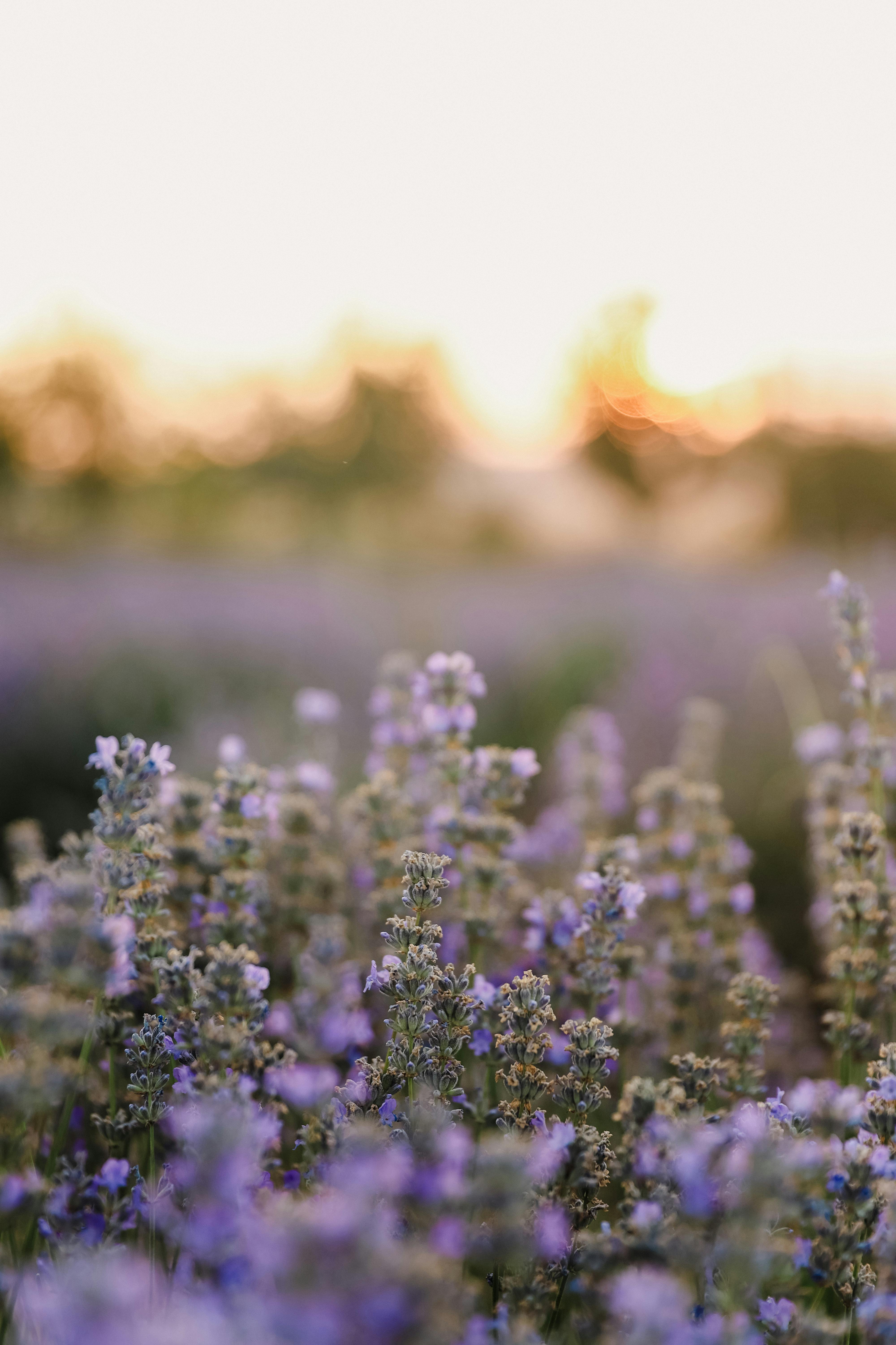 Une traversée douce vers vous même en Provence